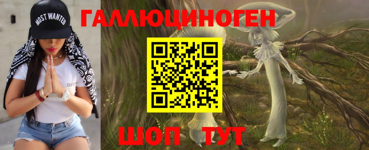 Гусев  Псилоцибиновые грибы Cubensis  Вход с VPN 