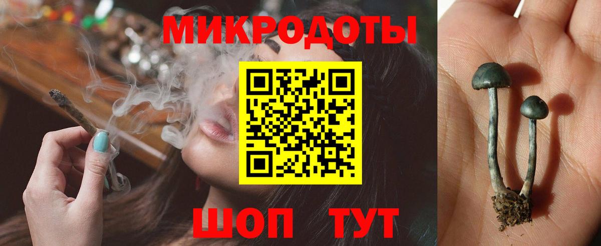 Псилоцибиновые грибы Magic Shrooms Гусев